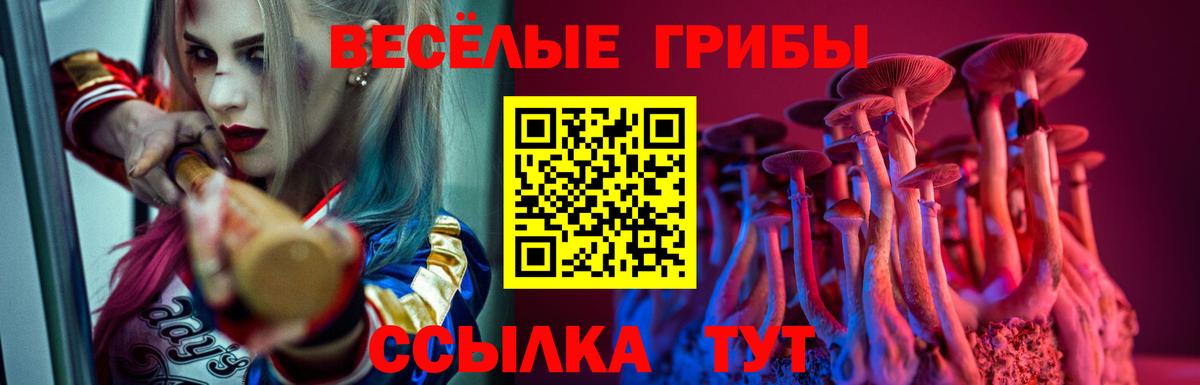 Калуга  Галлюциногенные грибы прущие грибы  Вход с VPN 